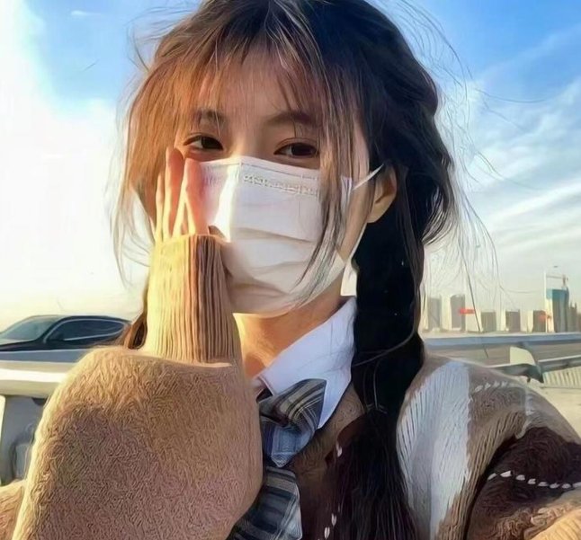 第一夫人的保镖
