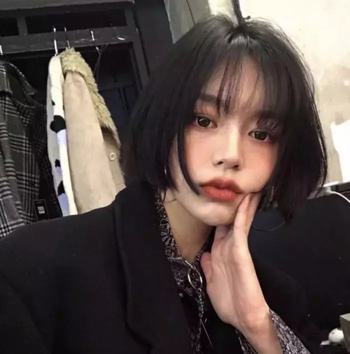 生命的故事